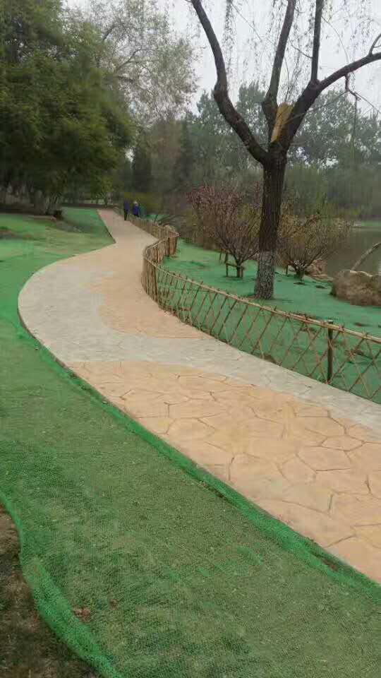 天津動(dòng)物園壓花路面